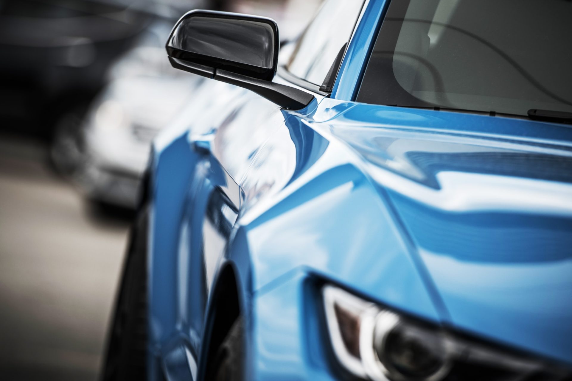 Window tint MarisolE blue